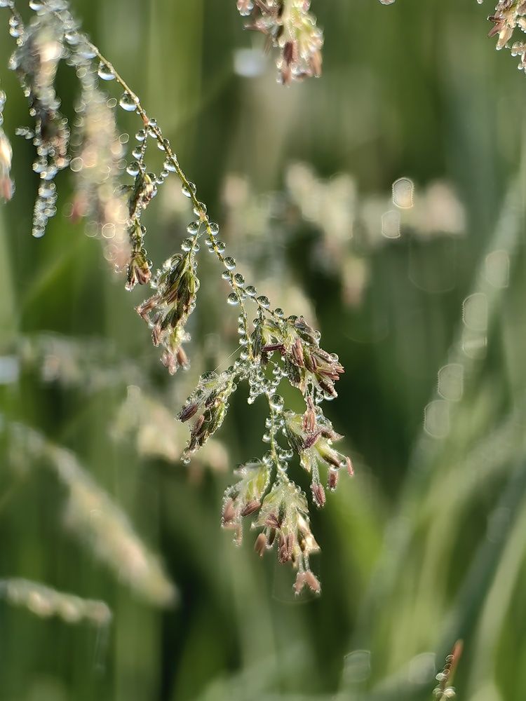 Photograph by Гульназ Шайхисламова