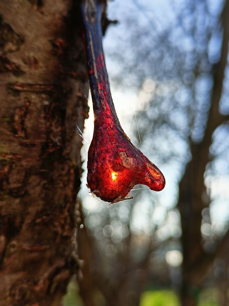 Photograph by Юлия Еганова
