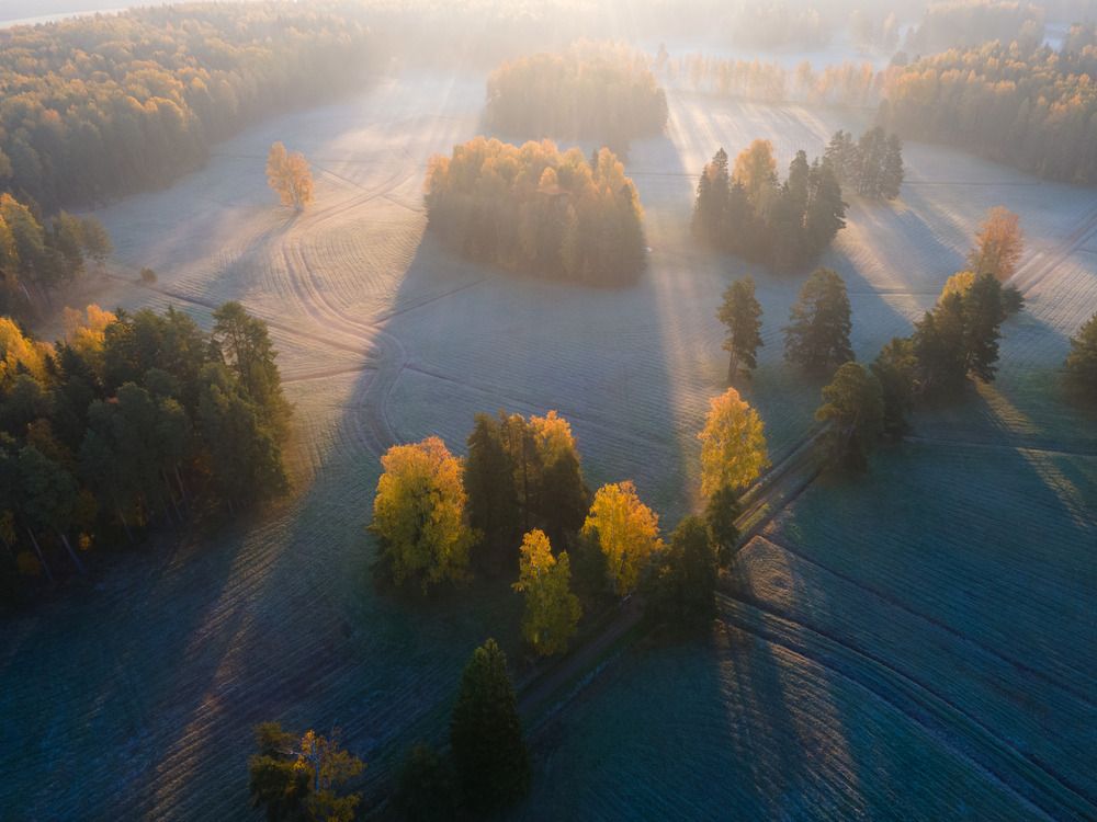Осень над парком