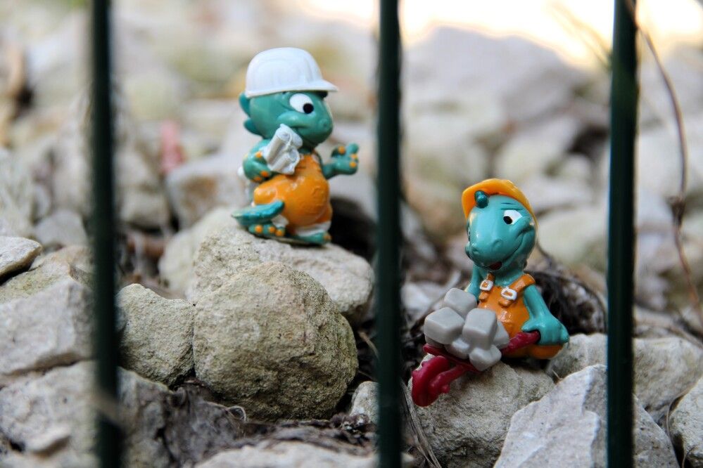 Photograph by Alisa Mitina