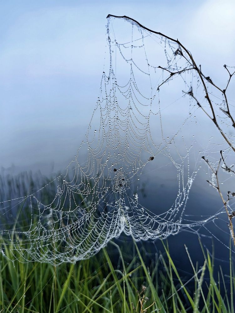 Photograph by Гульназ Шайхисламова