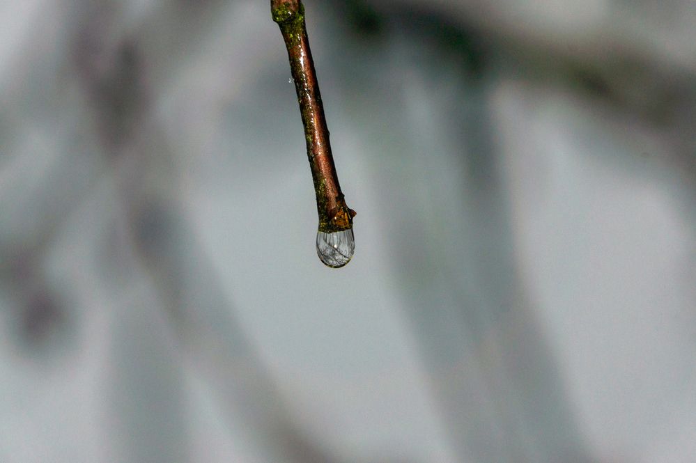 Photograph by Олег Алексеев