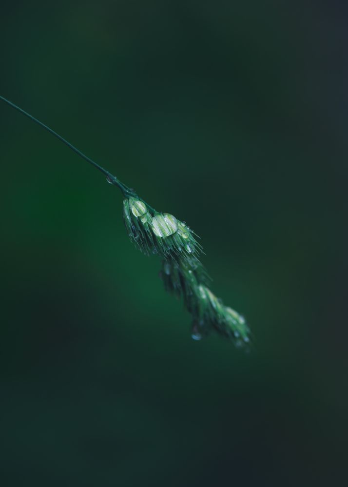 Photograph by Герман Крупенин