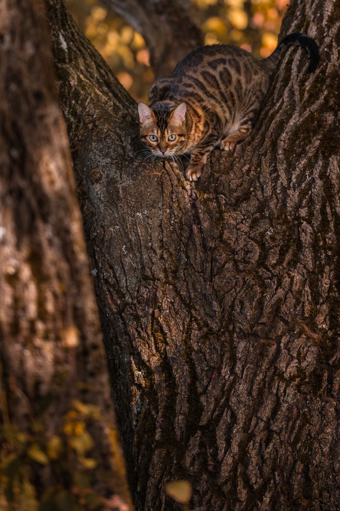 Photograph by Dina Damotseva