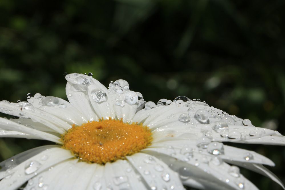 Photograph by Cengiz Yalcin