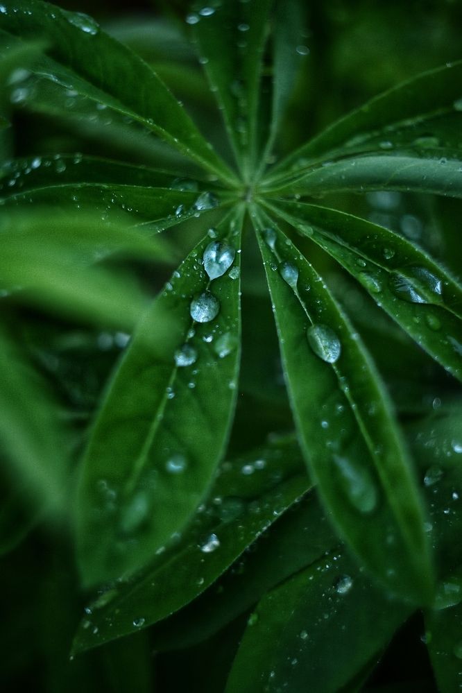 Фотография автора Анастасия Руднева