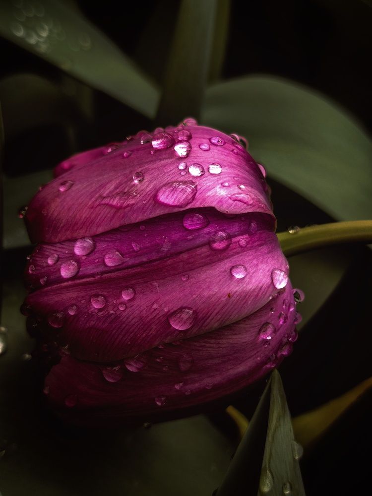 Photograph by Юлия Носкова