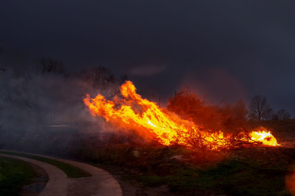 Photograph by Дьяченко Алёна