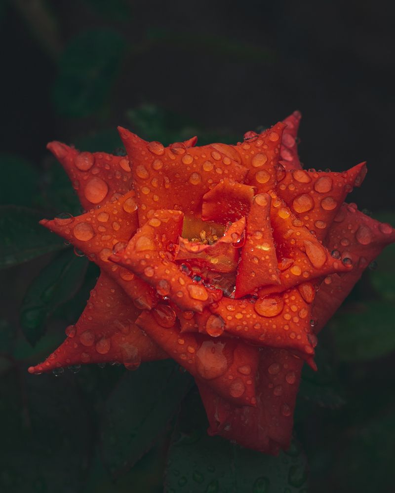 Photograph by Alexandra Sergeeva