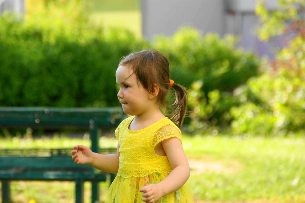 Фотография автора Sergej Roor