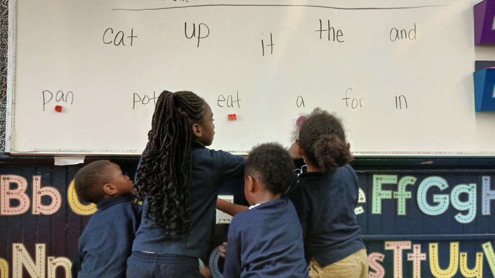 Фотография автора Adriana Rocha