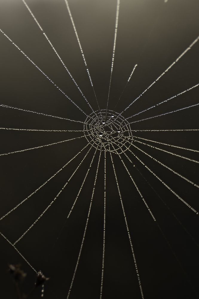 Фотография автора Александра Константинова