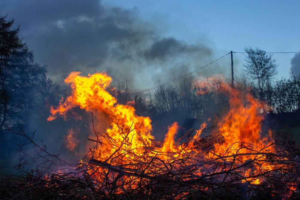 Photograph by Дьяченко Алёна