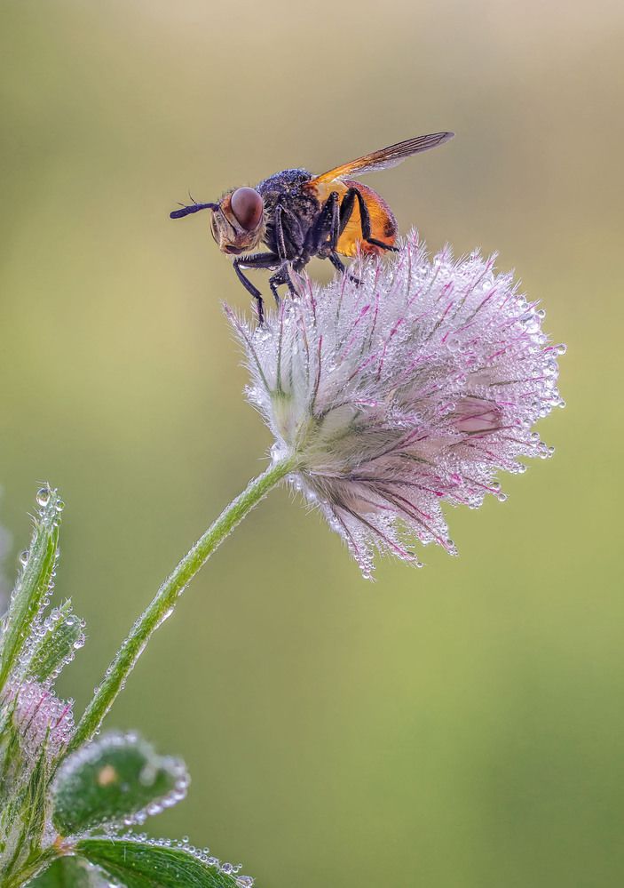 Photograph by Чепленко Алексей