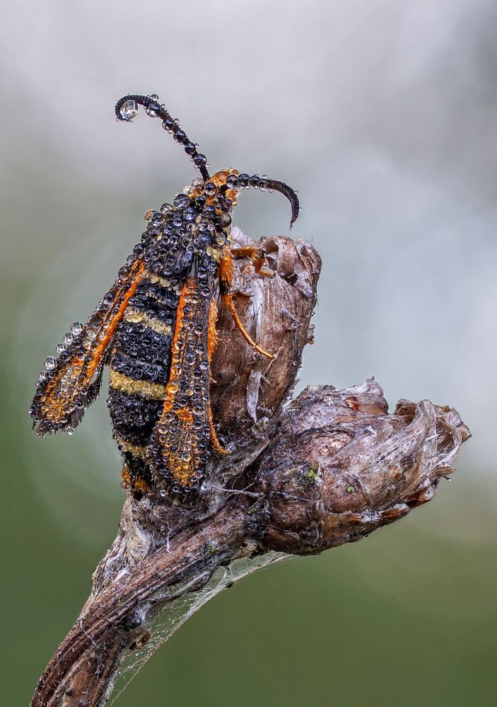 Photograph by Чепленко Алексей