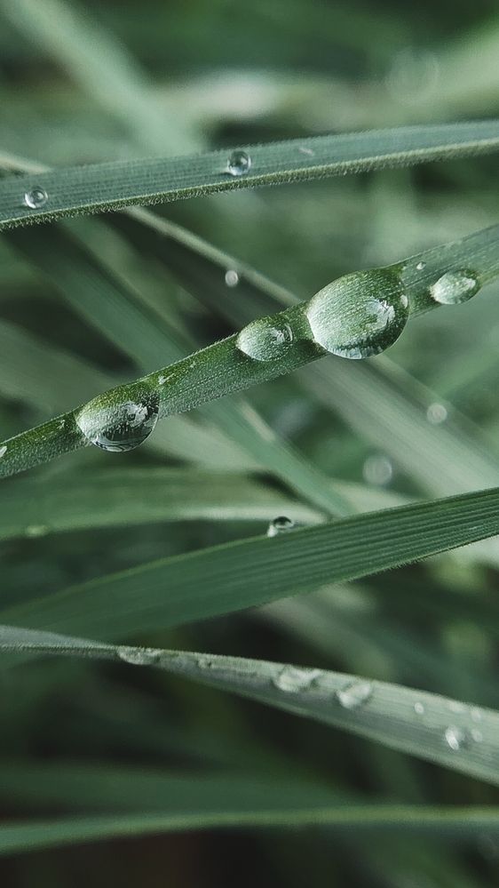 Фотография автора Анна Морозова