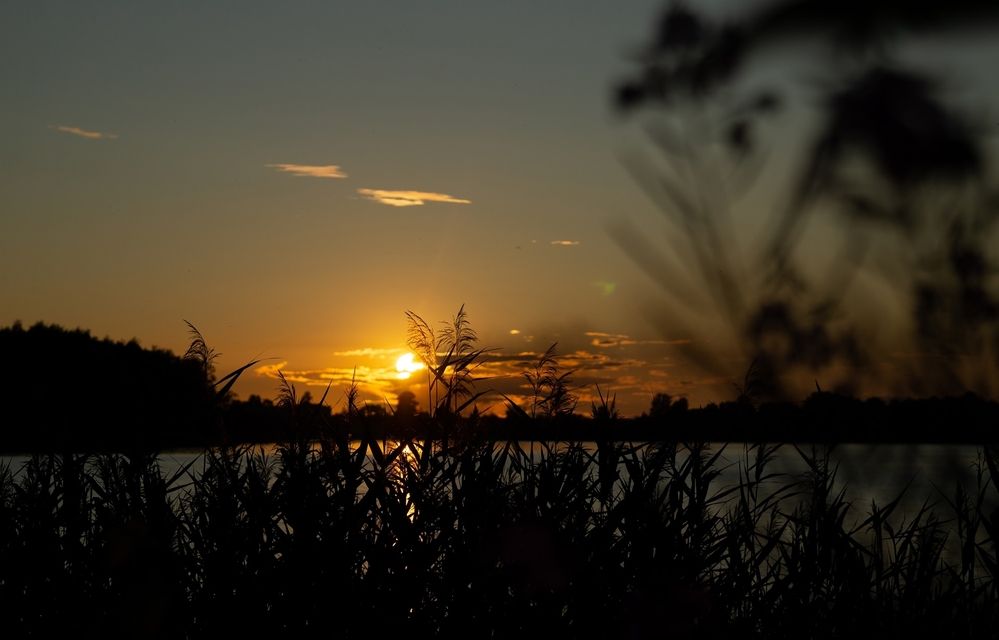 Photograph by Екатерина Одинцова