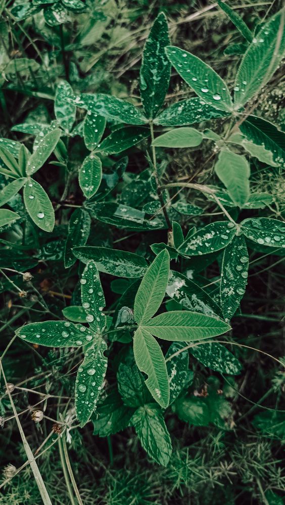 Photograph by Людмила Горячева