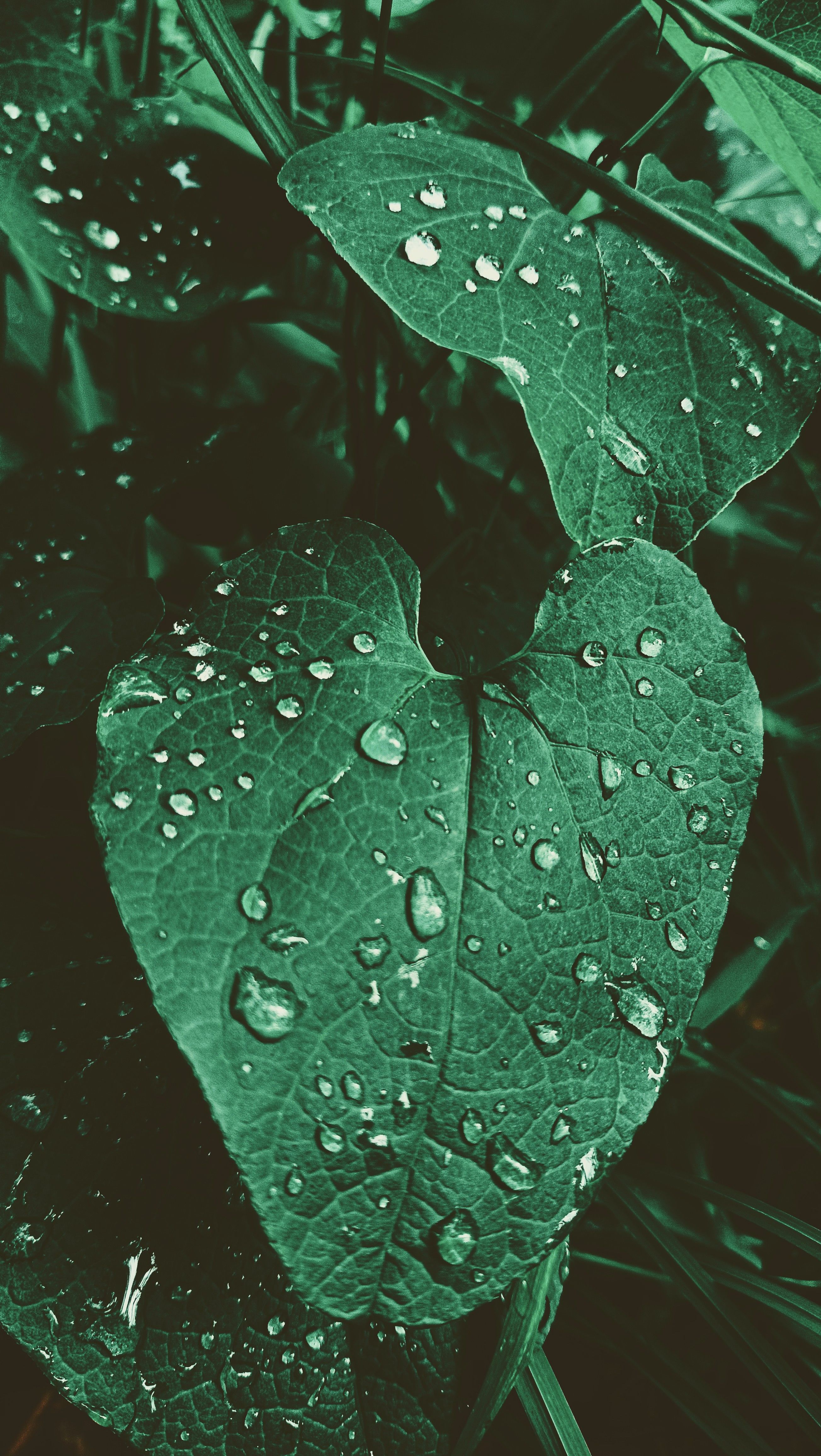 Photograph by Людмила Горячева