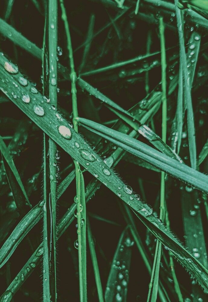 Photograph by Людмила Горячева