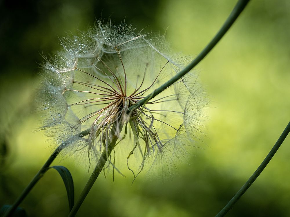 Photograph by Маргарита Ивкова