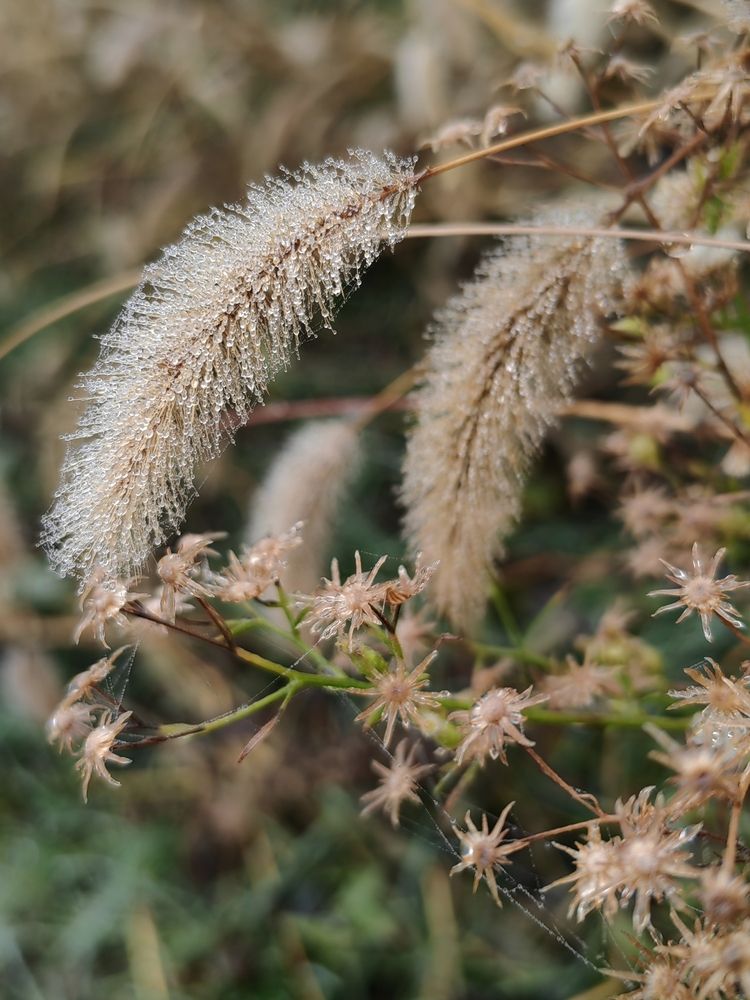 Photograph by Ульяна Кузьмина