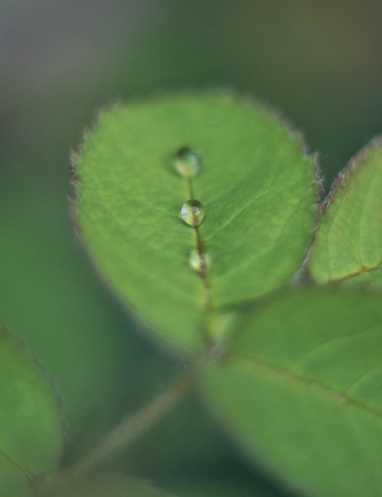 Photograph by Катерина Сорокина