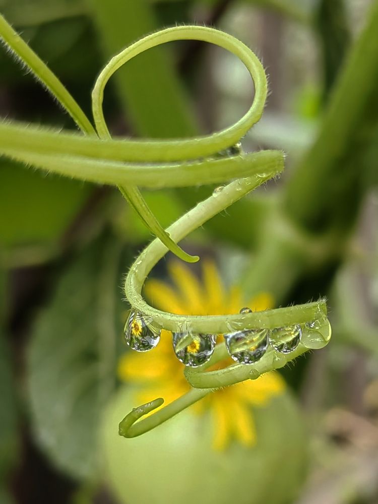 Photograph by Ульяна Кузьмина