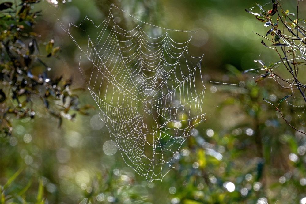 Photograph by Константин Тучин