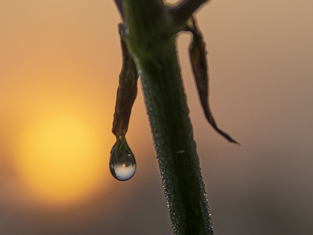 Фотография автора Владимир Волков