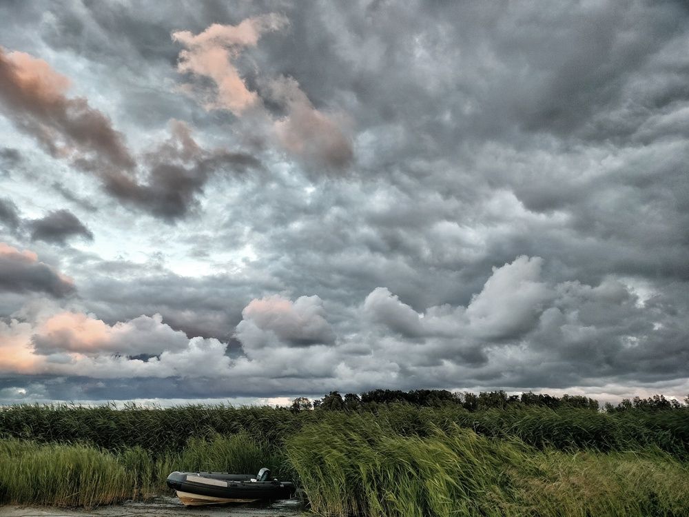 Photo #12582354