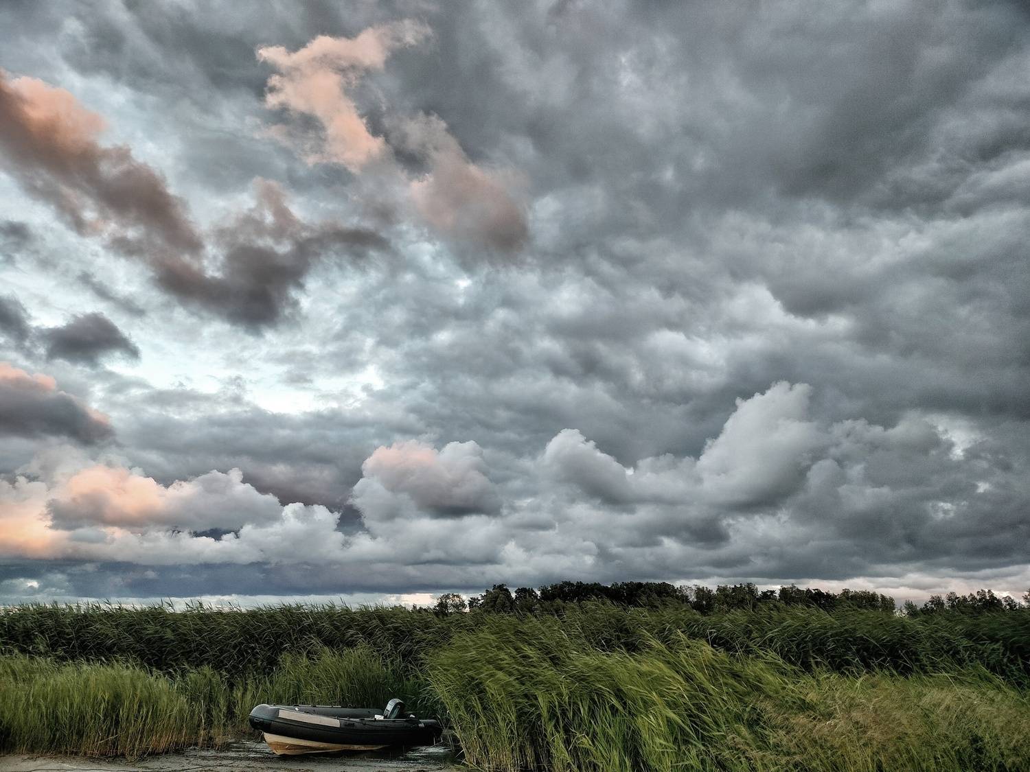 Photo #12582354