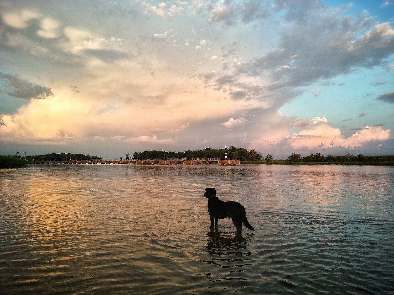 Photo #12582357
