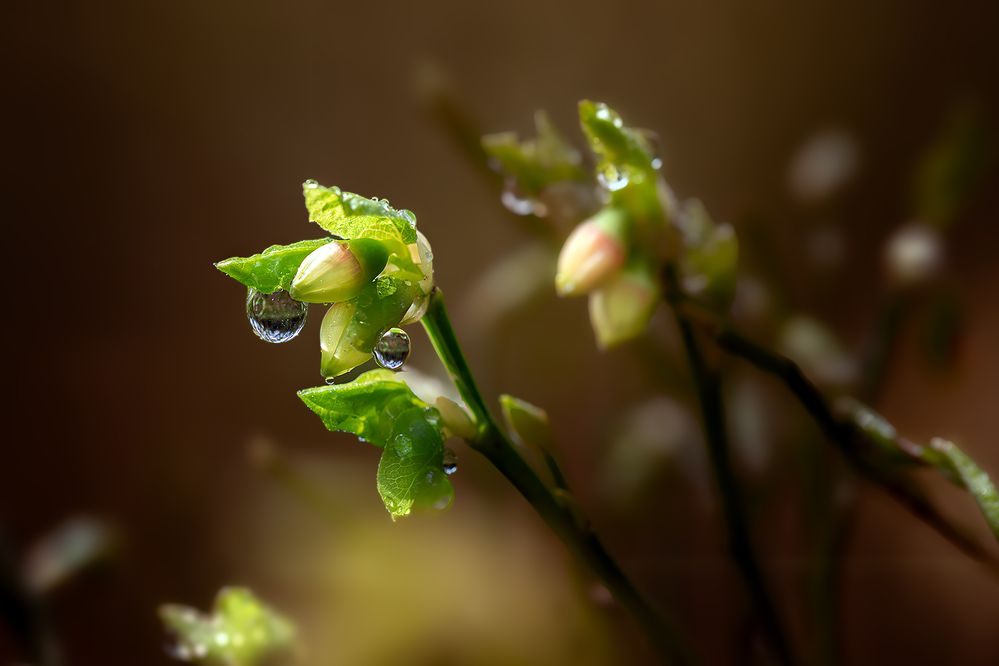 Photograph by Рихард Мисан