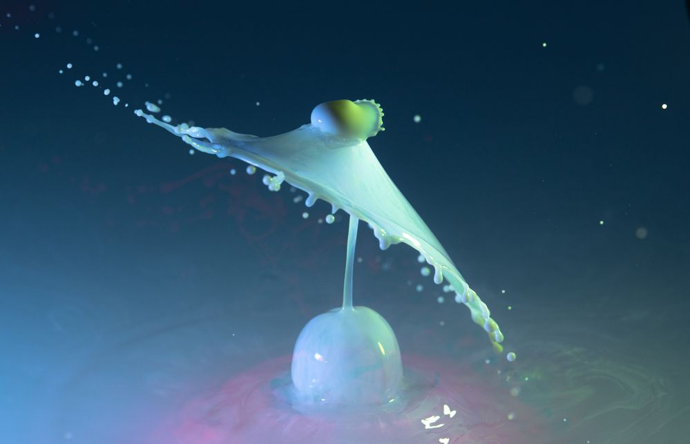 Photograph by Andrey Lesnik