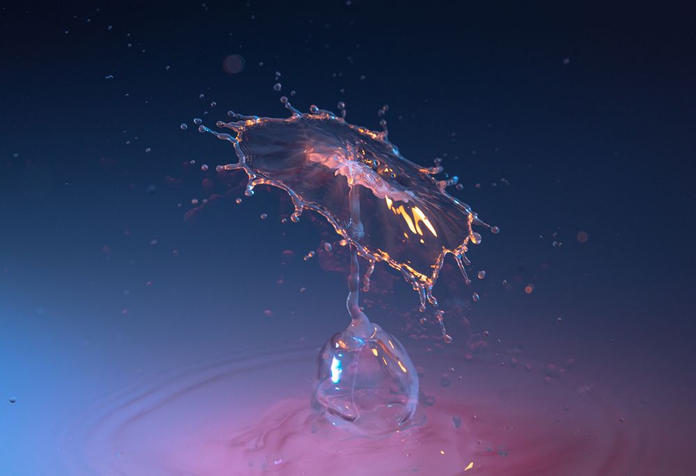 Photograph by Andrey Lesnik