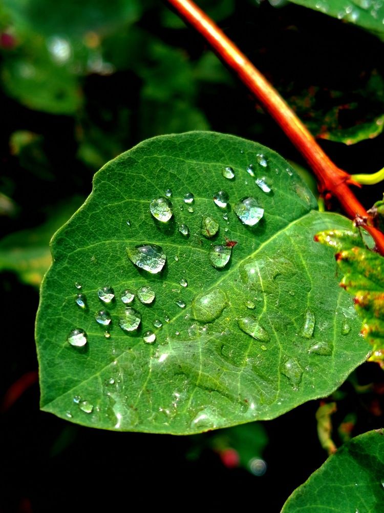 Фотография автора Jindřiška Kučerová