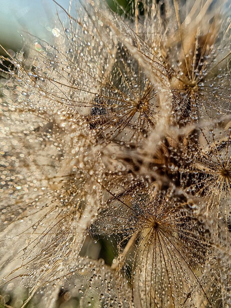 Photograph by Лариса Когтева