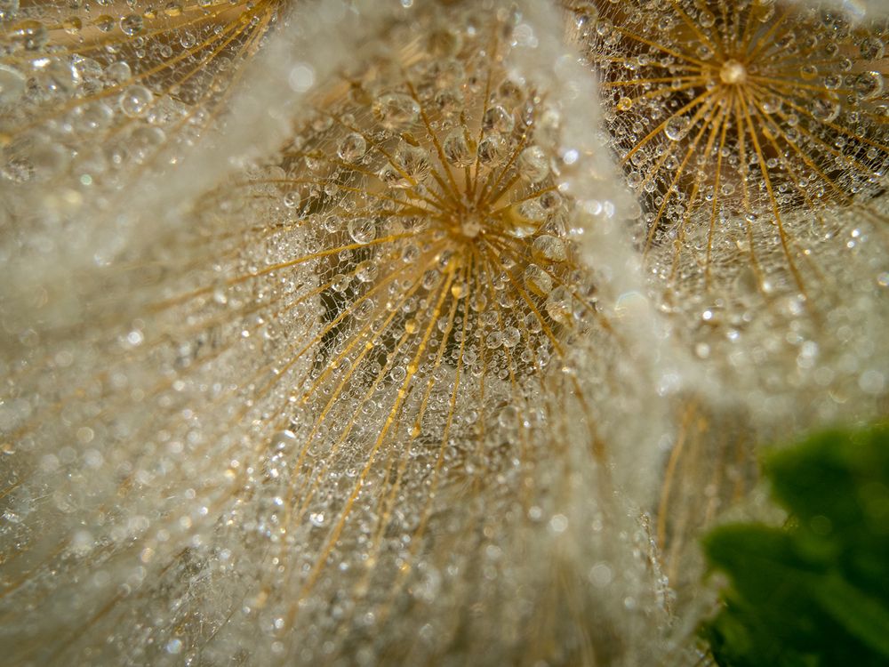 Photograph by Маргарита Ивкова