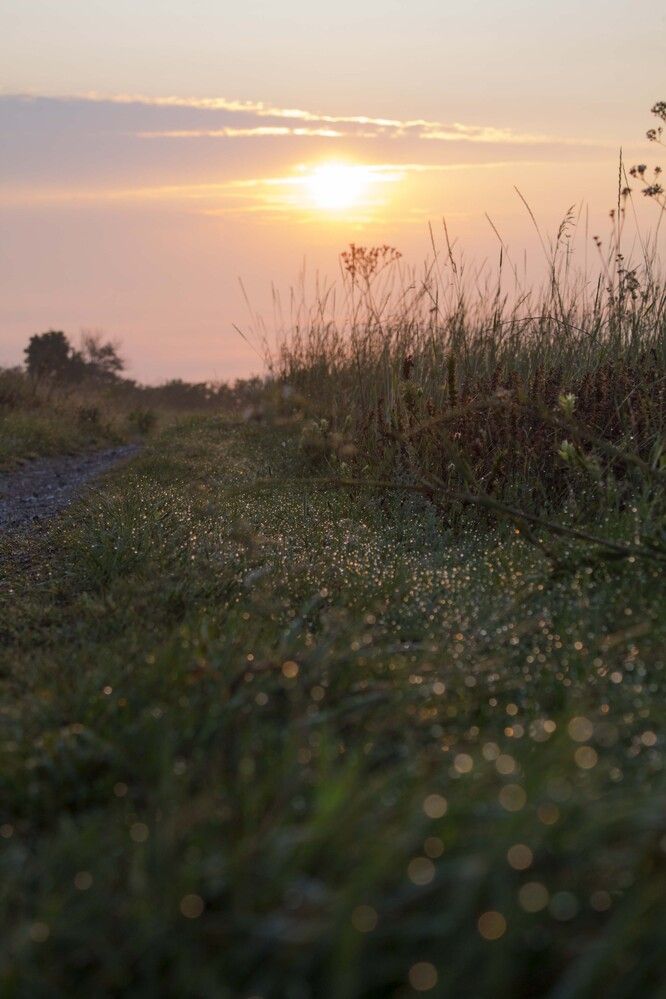 Photograph by Мария Бобылёва