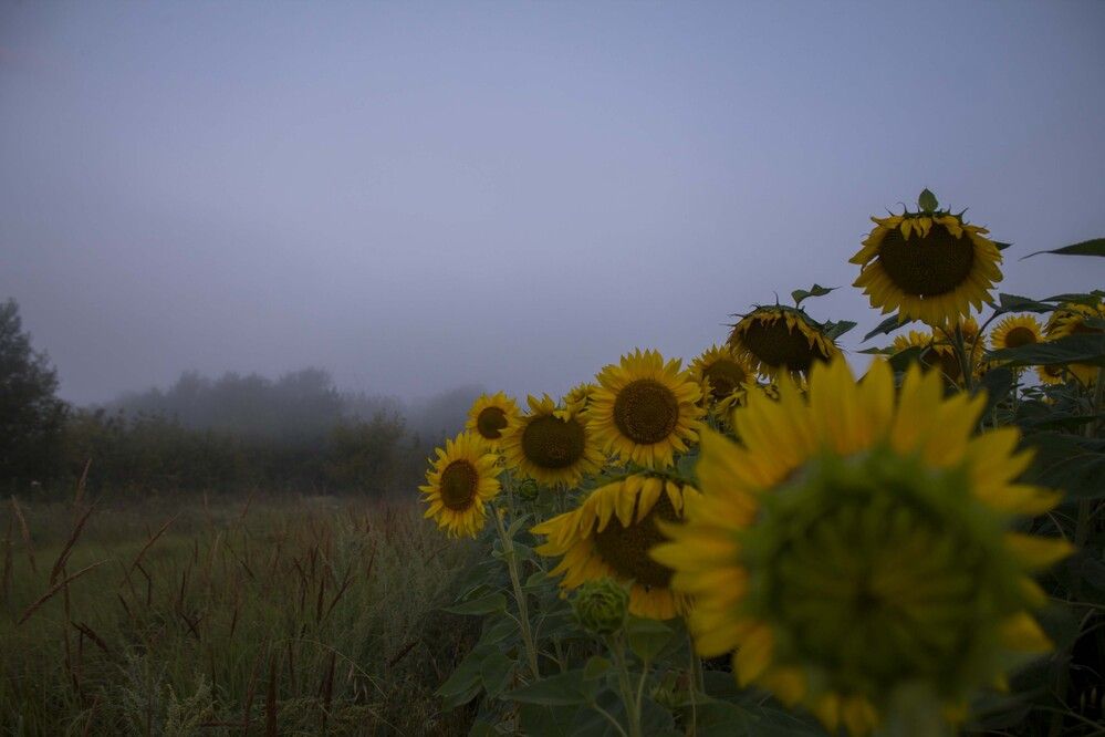 Photograph by Мария Бобылёва
