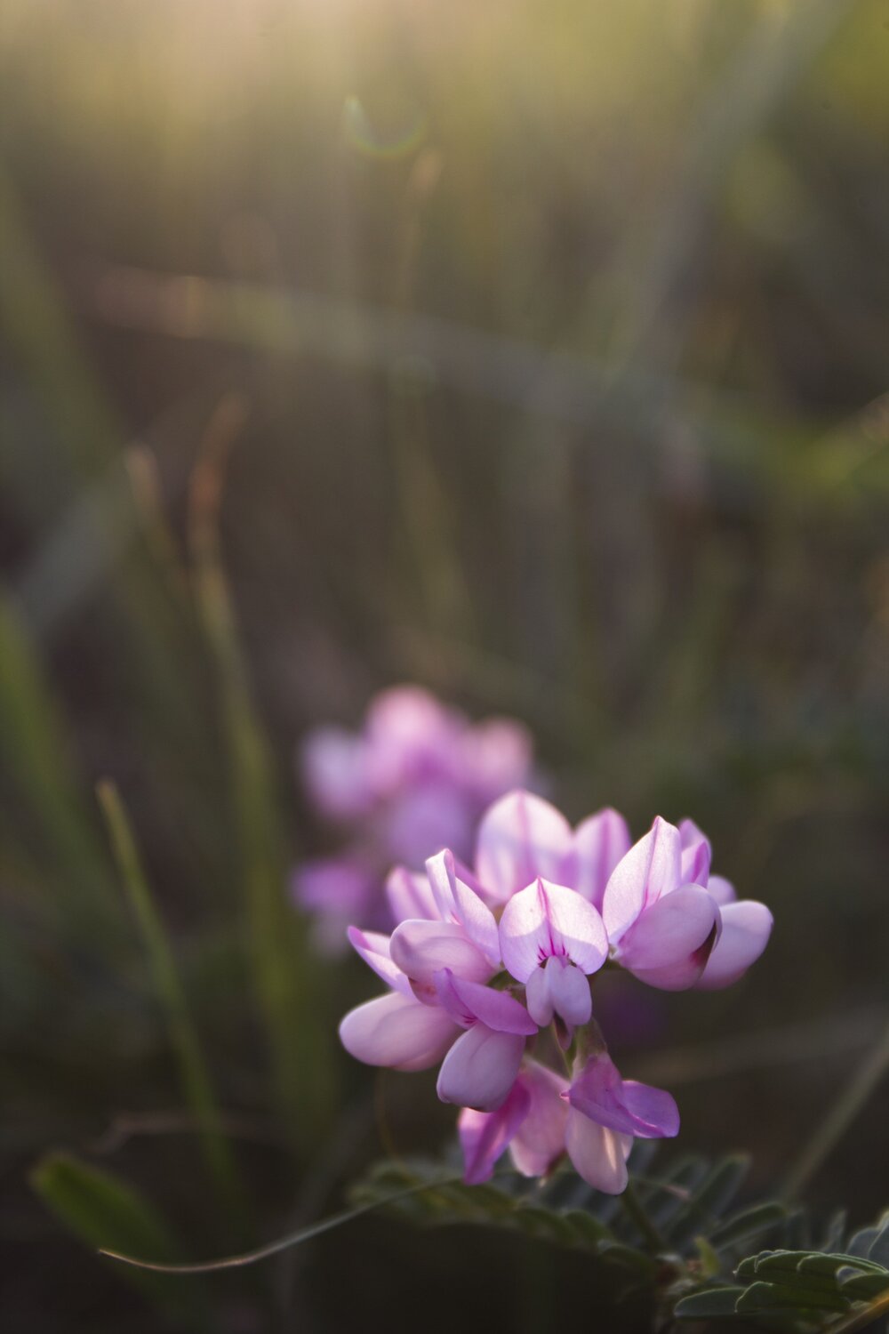 Photo #12582643