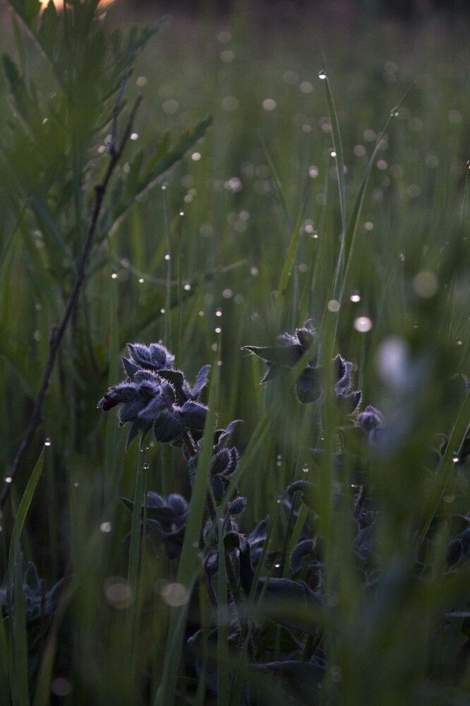 Photograph by Мария Бобылёва