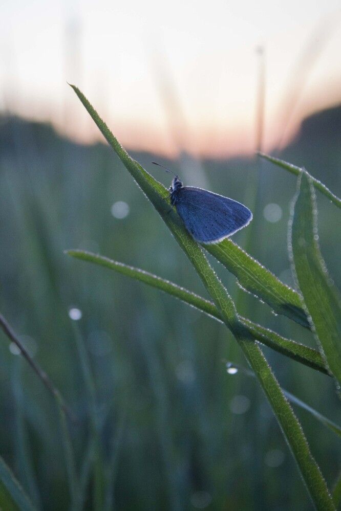 Photograph by Мария Бобылёва