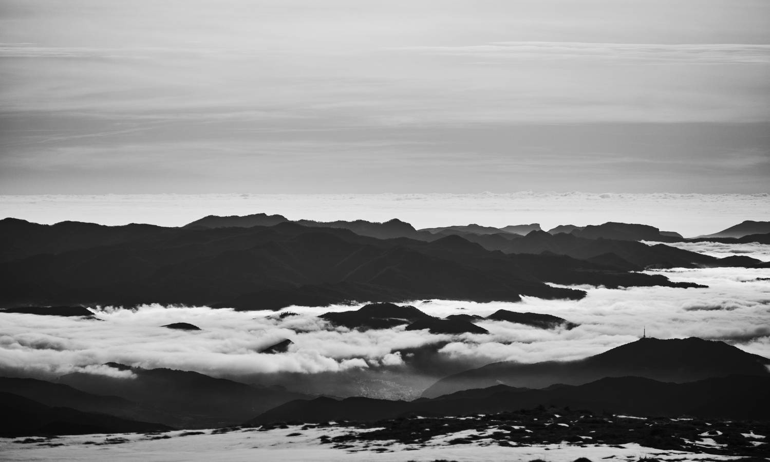 Photo #12582676