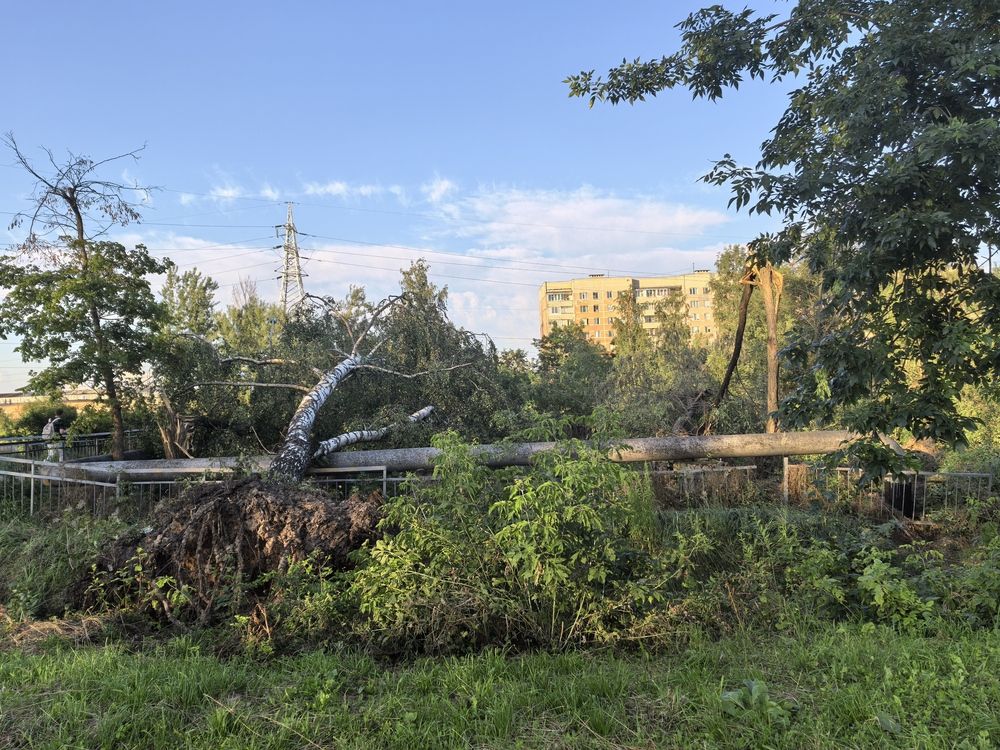 Photograph by Людмила Орловская