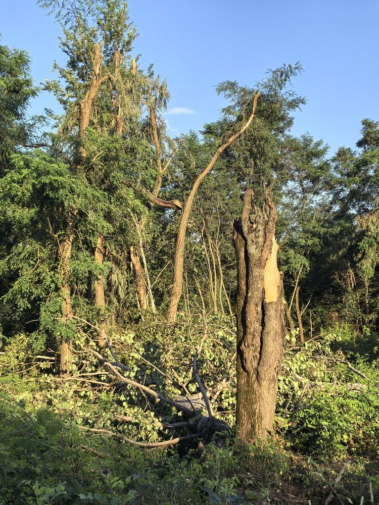 Photograph by Людмила Орловская