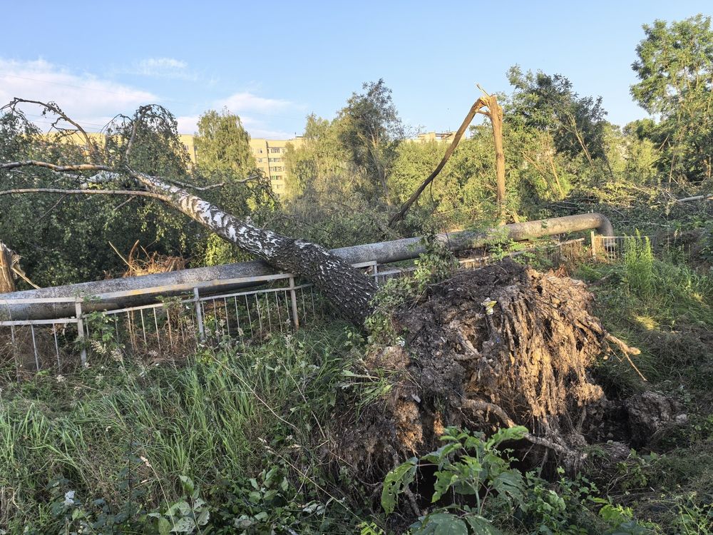 Photograph by Людмила Орловская