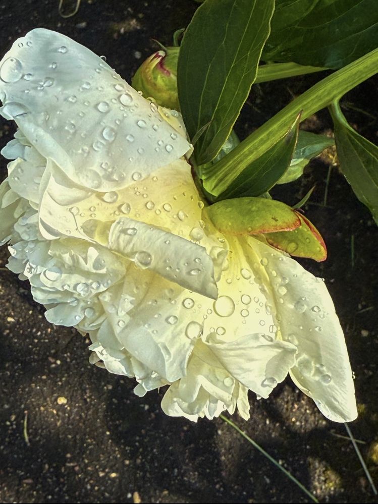 Photograph by Наталия Любчикова