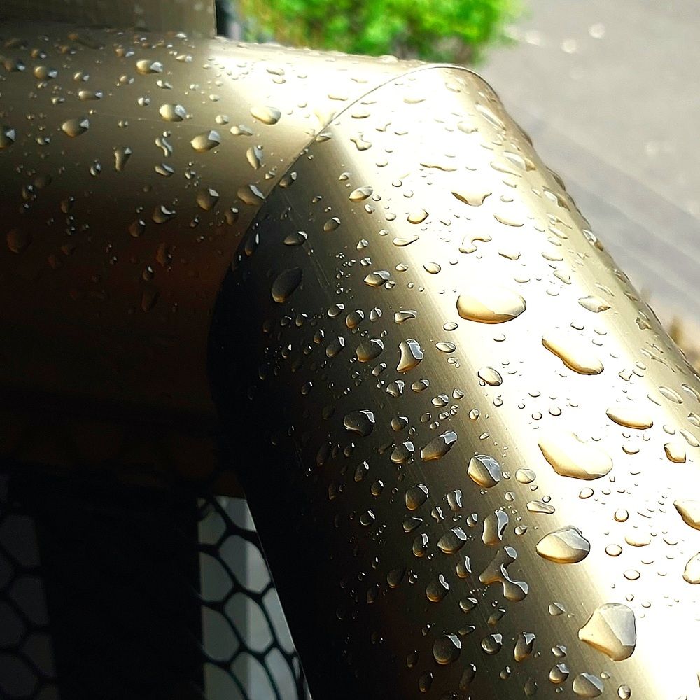 Photograph by Maria da Conceição Queiroz